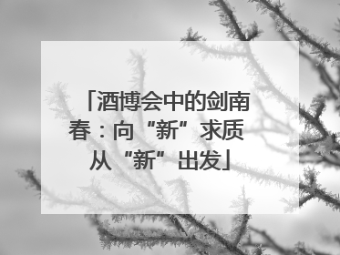 酒博会中的剑南春：向“新”求质 从“新”出发
