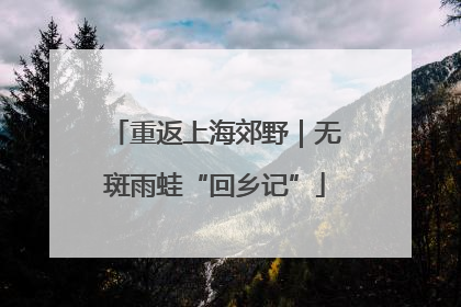 重返上海郊野｜无斑雨蛙“回乡记”