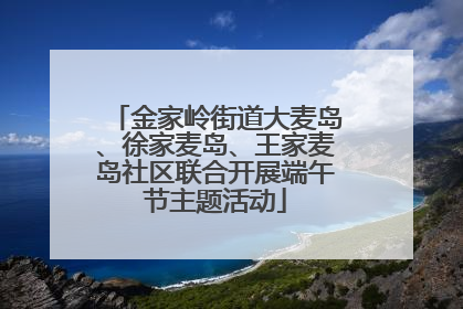 金家岭街道大麦岛、徐家麦岛、王家麦岛社区联合开展端午节主题活动