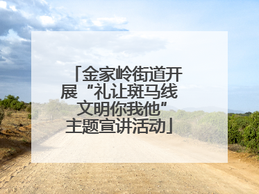 金家岭街道开展“礼让斑马线 文明你我他”主题宣讲活动