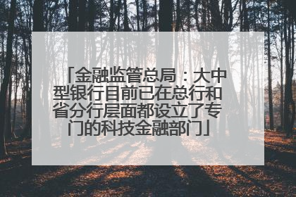 金融监管总局：大中型银行目前已在总行和省分行层面都设立了专门的科技金融部门