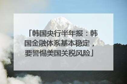 韩国央行半年报：韩国金融体系基本稳定，要警惕美国关税风险