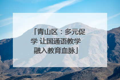 青山区：多元促学 让国通语教学融入教育血脉