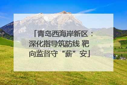 青岛西海岸新区：深化指导筑防线 靶向监督守“薪”安