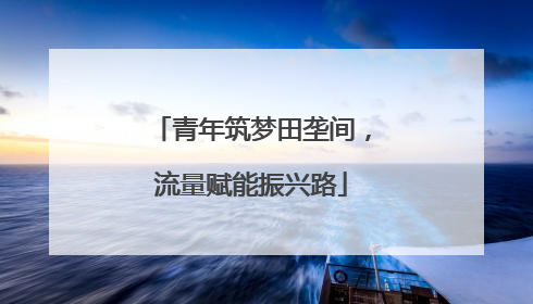 青年筑梦田垄间，流量赋能振兴路