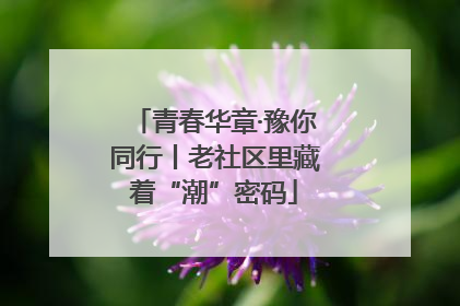 青春华章·豫你同行丨老社区里藏着“潮”密码