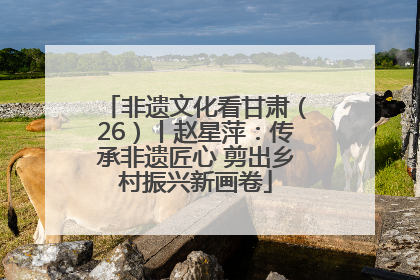 非遗文化看甘肃（26）丨赵星萍：传承非遗匠心 剪出乡村振兴新画卷