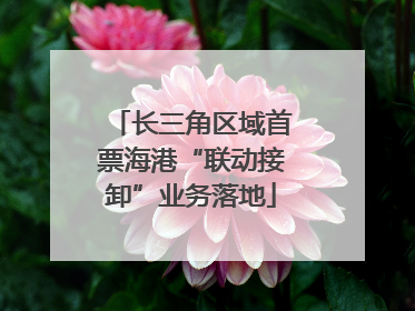 长三角区域首票海港“联动接卸”业务落地