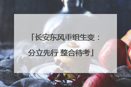 长安东风重组生变：分立先行 整合待考
