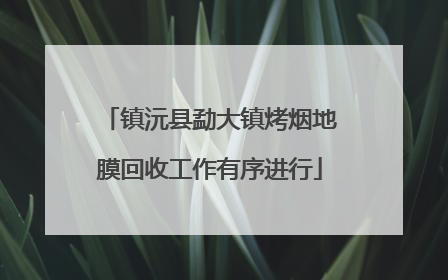 镇沅县勐大镇烤烟地膜回收工作有序进行