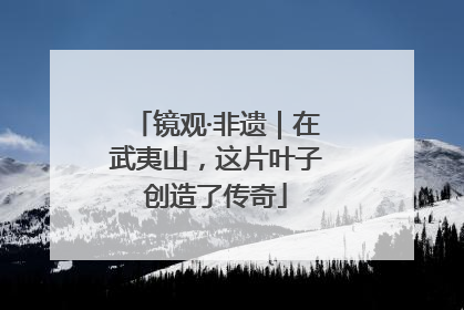镜观·非遗｜在武夷山，这片叶子创造了传奇