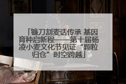 镰刀割麦话传承 基因育种启新程——第十届杨凌小麦文化节见证“颗粒归仓”时空跨越