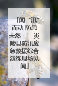 闻“汛”而动 防患未然——炎陵县防汛应急救援综合演练现场见闻
