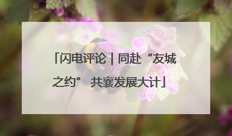 闪电评论｜同赴“友城之约” 共襄发展大计