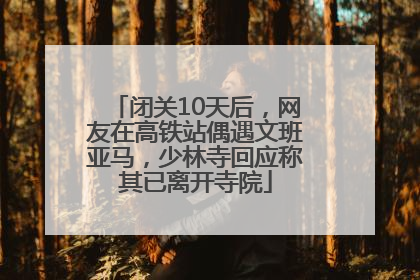 闭关10天后，网友在高铁站偶遇文班亚马，少林寺回应称其已离开寺院