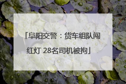 阜阳交警：货车组队闯红灯 28名司机被拘