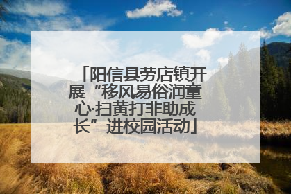 阳信县劳店镇开展“移风易俗润童心·扫黄打非助成长”进校园活动