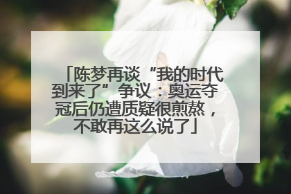 陈梦再谈“我的时代到来了”争议：奥运夺冠后仍遭质疑很煎熬，不敢再这么说了