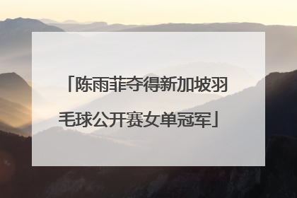 陈雨菲夺得新加坡羽毛球公开赛女单冠军