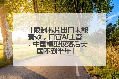 限制芯片出口未能奏效，白宫AI主管：中国模型仅落后美国不到半年