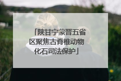 陕甘宁蒙晋五省区聚焦古脊椎动物化石司法保护