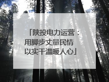 陕投电力运营：用脚步丈量民情 以实干温暖人心