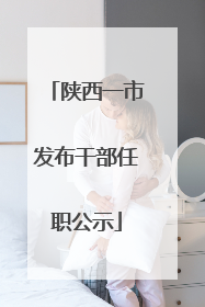 陕西一市发布干部任职公示