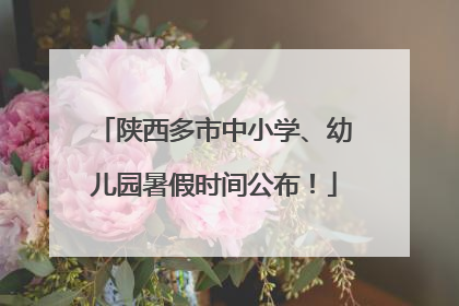 陕西多市中小学、幼儿园暑假时间公布！