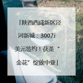 陕西西咸新区泾河新城：300万美元签约！茯茶“金花”绽放中亚