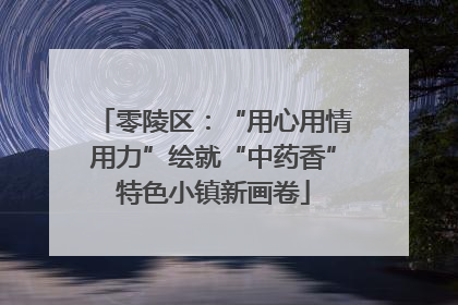 零陵区：“用心用情用力”绘就“中药香”特色小镇新画卷