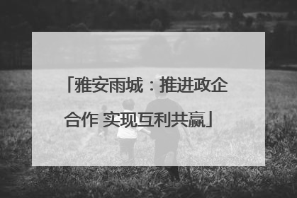 雅安雨城：推进政企合作 实现互利共赢