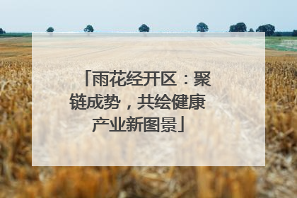雨花经开区：聚链成势，共绘健康产业新图景