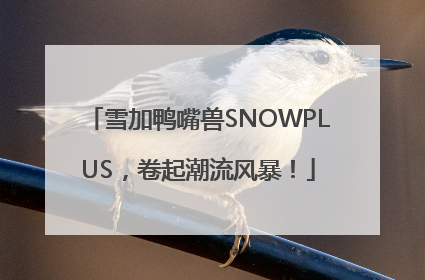 雪加鸭嘴兽SNOWPLUS，卷起潮流风暴！