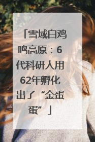 雪域白鸡鸣高原：6代科研人用62年孵化出了“金蛋蛋”