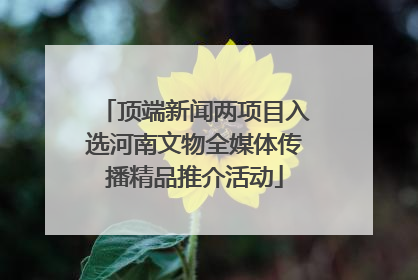 顶端新闻两项目入选河南文物全媒体传播精品推介活动