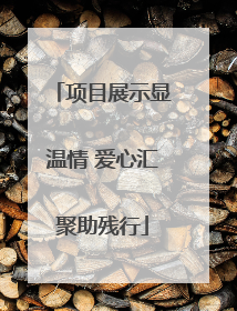 项目展示显温情 爱心汇聚助残行