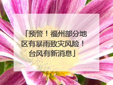 预警！福州部分地区有暴雨致灾风险！台风有新消息