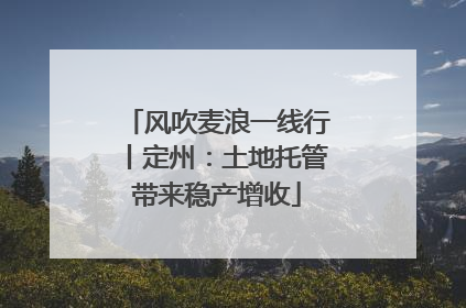 风吹麦浪一线行丨定州：土地托管带来稳产增收
