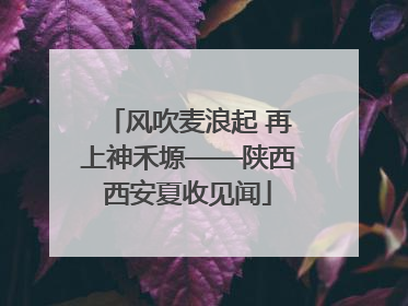 风吹麦浪起 再上神禾塬——陕西西安夏收见闻