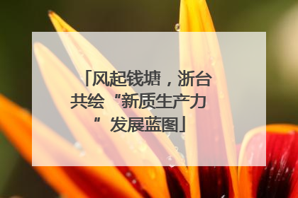 风起钱塘，浙台共绘“新质生产力”发展蓝图