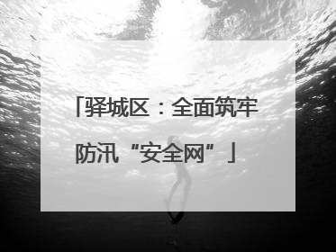 驿城区：全面筑牢防汛“安全网”