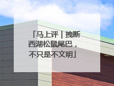 马上评｜拽断西湖松鼠尾巴，不只是不文明