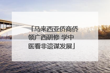 马来西亚侨商侨领广西研修 学中医看非遗谋发展