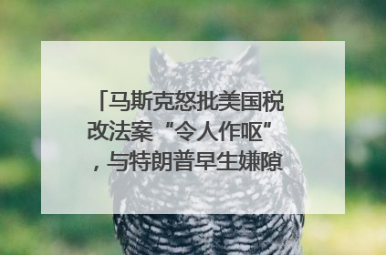 马斯克怒批美国税改法案“令人作呕”，与特朗普早生嫌隙？｜国际识局