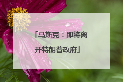 马斯克：即将离开特朗普政府