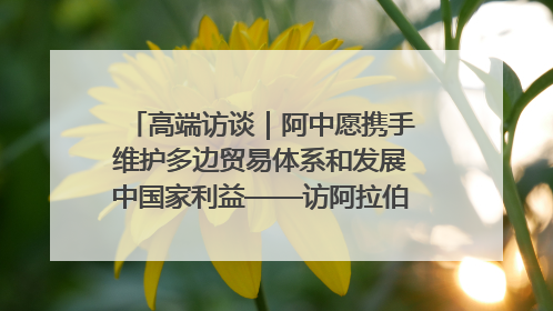 高端访谈｜阿中愿携手维护多边贸易体系和发展中国家利益——访阿拉伯议会议长亚马希