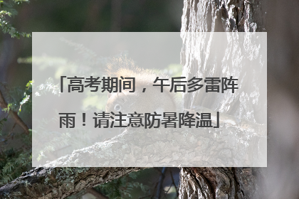 高考期间，午后多雷阵雨！请注意防暑降温
