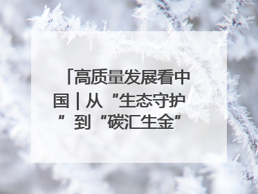 高质量发展看中国｜从“生态守护”到“碳汇生金”——中国石油大庆油田绿色蝶变