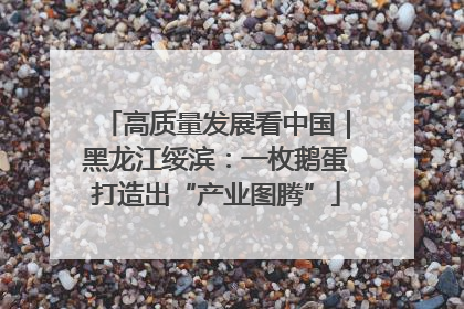 高质量发展看中国｜黑龙江绥滨：一枚鹅蛋打造出“产业图腾”