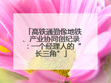 高铁通勤像地铁、产业协同创纪录：一个经理人的“长三角”